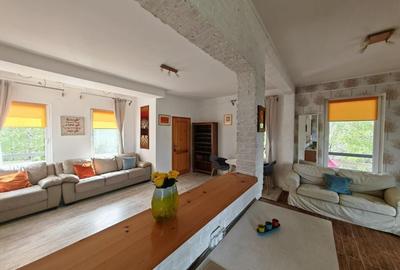 PESTERA CASA DE VANZARE - MOECIU! - 15