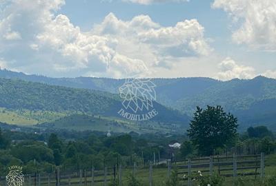 Teren agricol extravilan de 6500 mp, în Cușma - 7