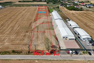 CIOLPANI Lot 500 MP