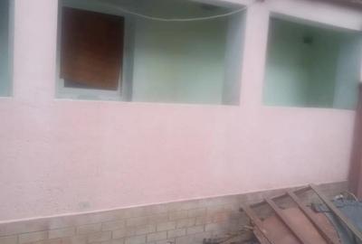 Casă cu 2 camere în Odvoș - 4