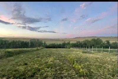 Casă în Central - 5