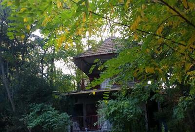 Teren de 7000 mp, în Spinuș - 3