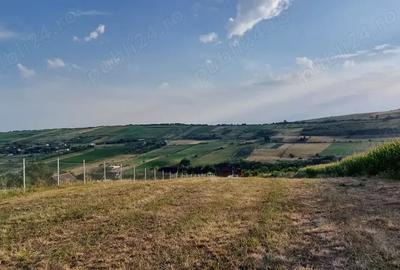 Teren în Nord - 5
