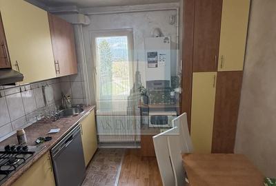 Apartament cu 3 camere semidecomandat, mobilat în Drumul Carului - 9
