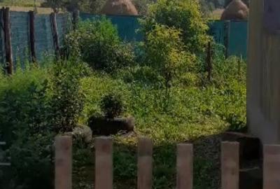 Casa 2 camere in Zam - ID : RH-38533-property - 11