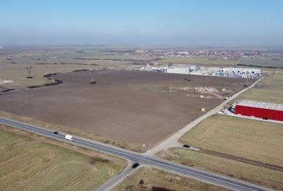 Teren Construcții intravilan de 4591 mp, în Dumbrăvița - 1