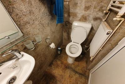 Casa de inchiriat in zona Uniirii - 7