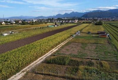 Spațiu comercial, în Central - 3