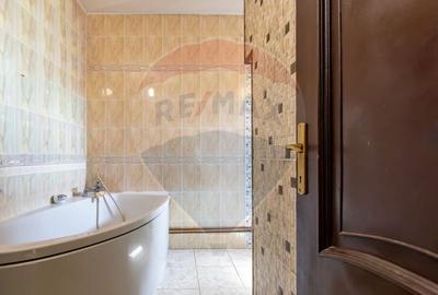 Apartament cu 3 camere decomandat în Alecu Russo - 10