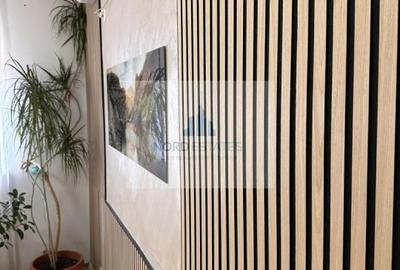 Casă cu 7 camere cu Teren 400 Mp în Dristor - 14