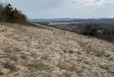 Spațiu comercial, în Central - 2