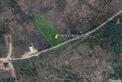 Spațiu comercial, în Central - 3