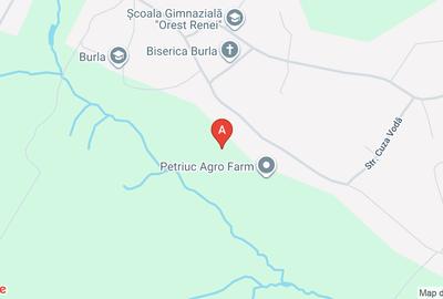 Teren Construcții intravilan de 56000 mp, în Burla - 1