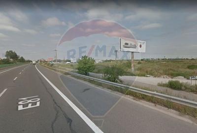 Teren 2Ha Drumul Intre Tarlale - A2, pretabil hale + biro... - 4