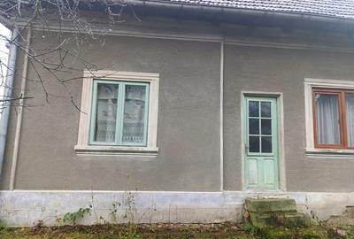 Casa 200 mp + intravilan 2 ha - 5