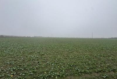 COMISION 0 | Teren intravilan | 7.473 mp | Zona Freidorf - 2