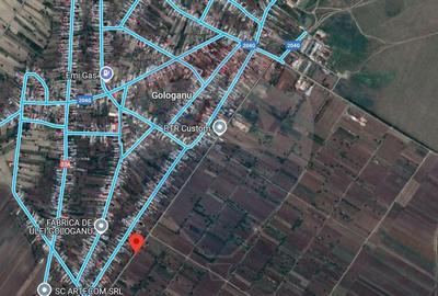 Teren intravilan ,4486mp in Gologanu - 1