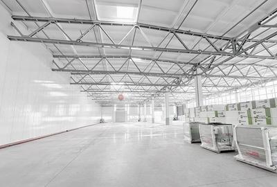 DEPOZITARE LOGISTIC OFFICE PRODUCTIE - 6