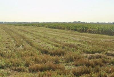 Teren de 5000 mp, în Strejnicu - 2