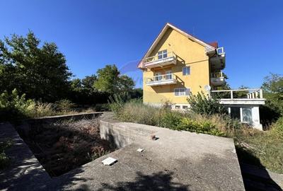 Casa cu potential imens in Sat Lilieci, pe Aleea Florilor - langa raul - 38