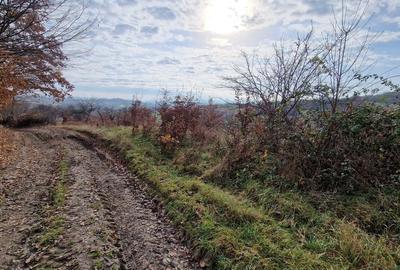 Teren de vânzare in Groși, Maramureș, 55 ari - 8