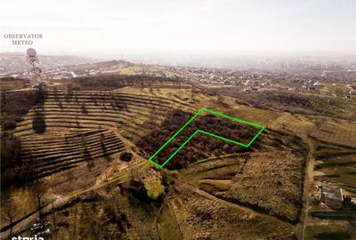 Spațiu comercial, în Podgoria - 4