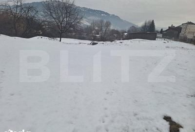 Teren de 3000 mp, în Central - 5