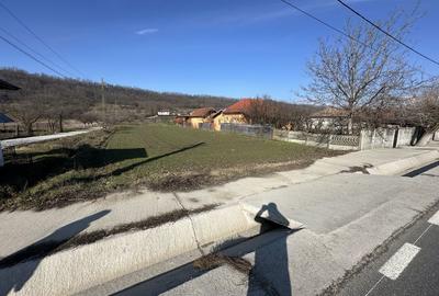 Spațiu comercial, în Cocoru - 3