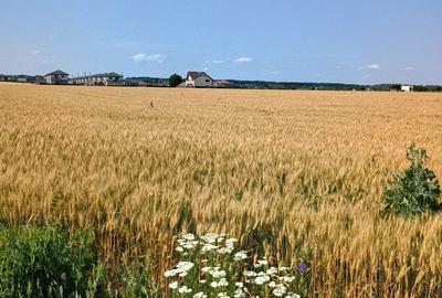 Spațiu comercial, în Valea Ursului - 3