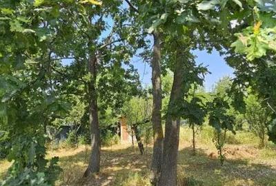 Teren de 572 mp, în Băicoi - 2