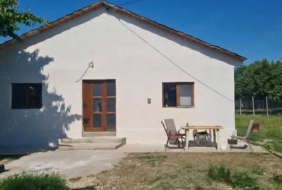 Casă cu Teren 10000 Mp în Cobadin