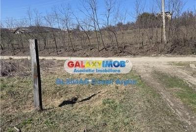 Spațiu comercial, în Călinești