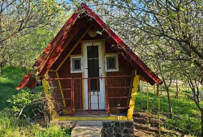 Casă individuală cu 2 camere cu Teren 4200 Mp în Bogata - 4