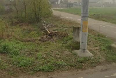 Teren în Domnești - 2