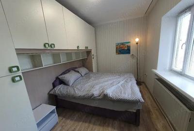 Apartament cu doua camere in zona Piata Maria de inchiriat - 1