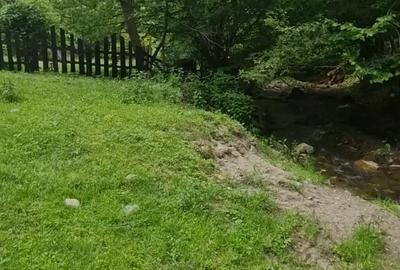 Teren de 4800 mp, în Căpâlna