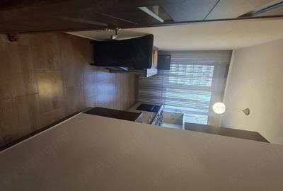 Apartament cu 2 camere decomandat în Teiul Doamnei - 1