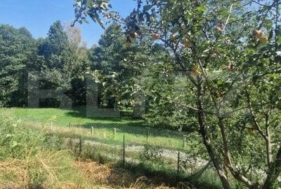 Casă individuală cu 4 camere cu Canalizare în Bran - 4
