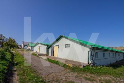 Hala industriala | productie | depozitare | cantina | 826mp | Sebes - 2