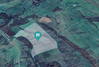 Teren arabil de 87 hectare in Bara, Timi? - 4