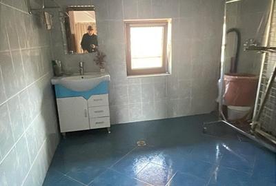 Colentina, Fundeni, Doinei - 1