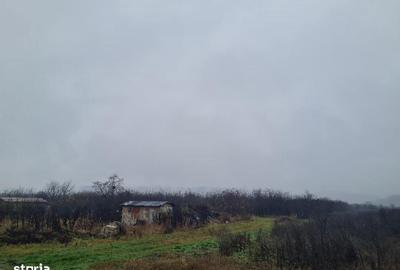 Spațiu comercial, în Mărăcineni - 2