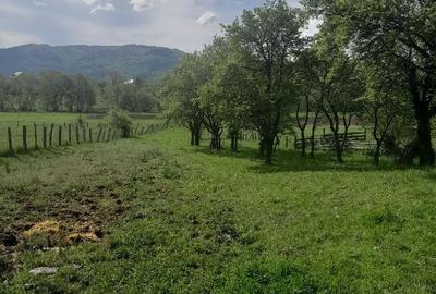 Casă cu 4 camere în Toaca - 3