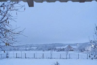 Casa vanzare Doclin, jud Caras Severin, pre? 39.500 euro - 6