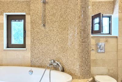 Apartament cu 5 camere semidecomandat în Aviatorilor - 11