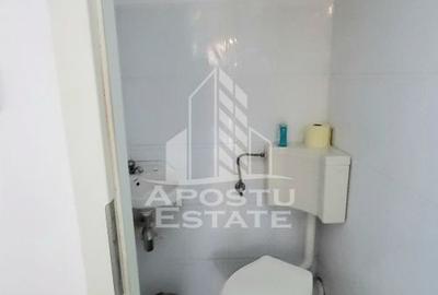 Casă cu 5 camere cu Canalizare în Peciu Nou - 14