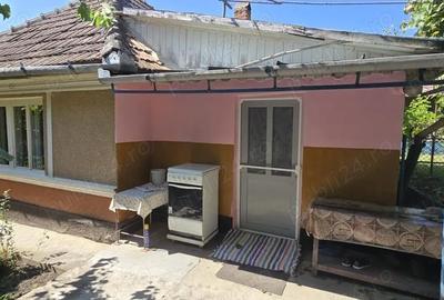 Casă cu 3 camere cu Teren 3000 Mp în Valea - 1