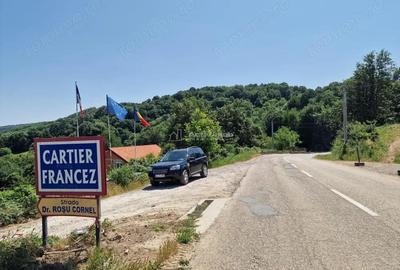 Resita Terenuri Urbane Intravilane Cartier Francez, 450mp, 600mp, 714mp, 736mp,si 1037mp - 2