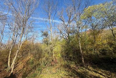 Teren langa pădure 6400mp-casa demolabile-deschidere 35 ml - 11