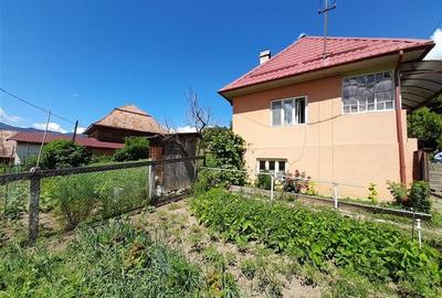 Vanzare casa cu anexe si 5500 mp teren, Valea Ariesului, Salciua - 1